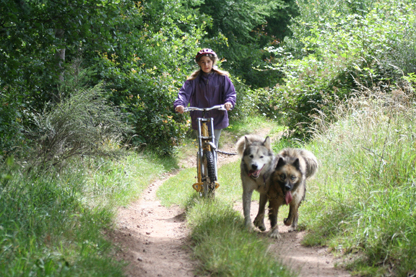 Cani-trottinette